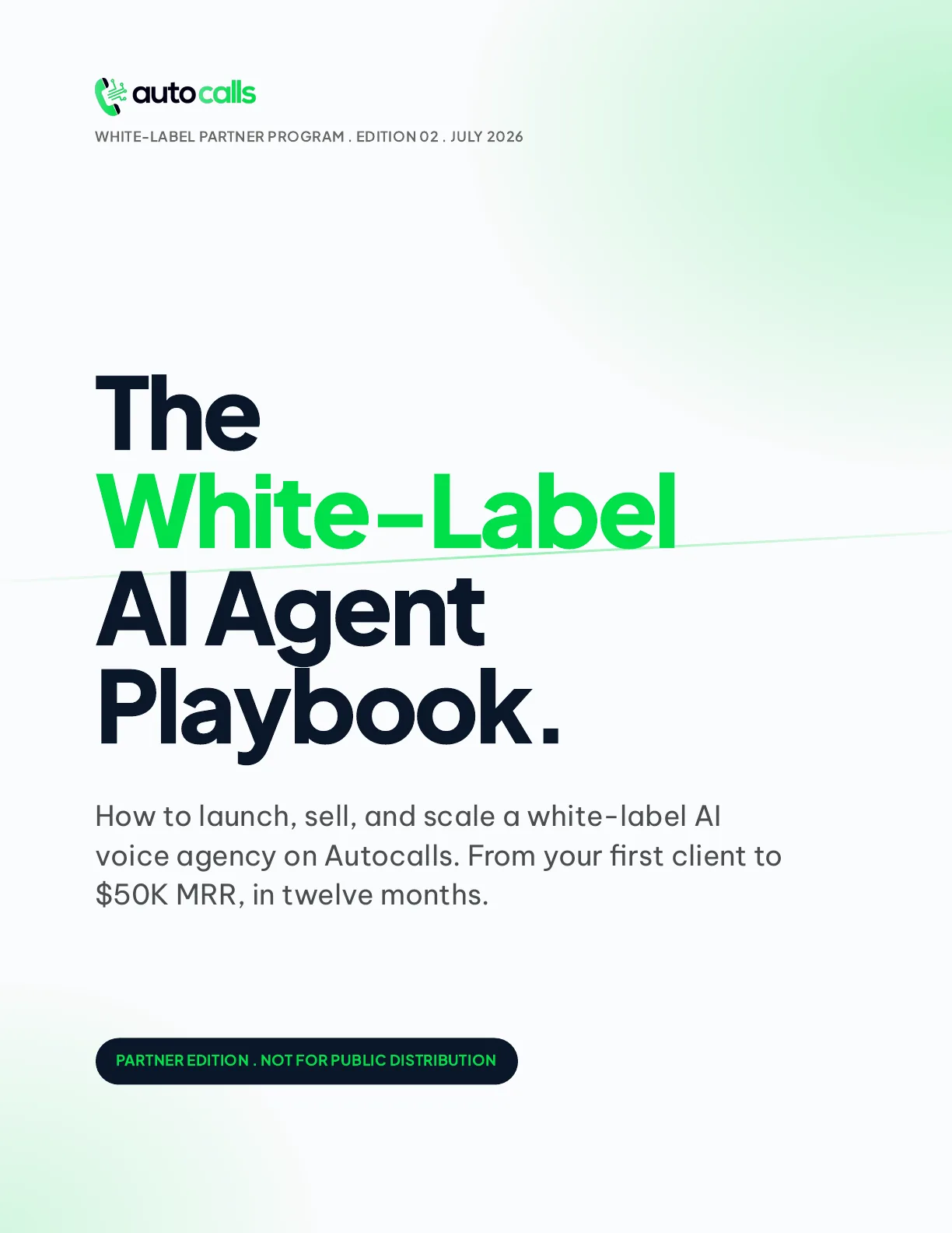 Voice AI Playbook page preview 1 of 10