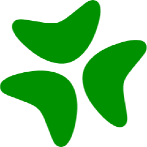 Bloomerang
